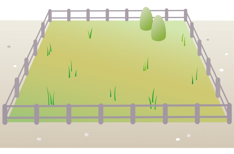 土地のイラスト
